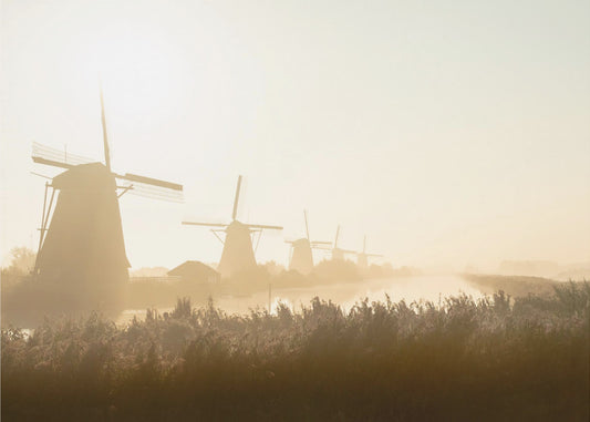 Kinderdijk | Fototapeter