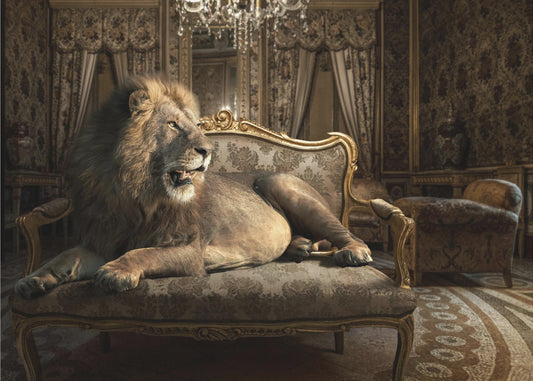 PalazzoLion | Canvastaulut