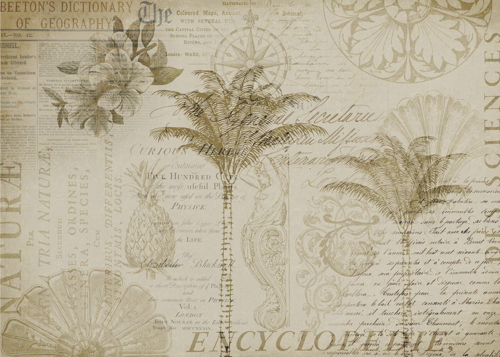 Encyklopedia tropikalna | Fototapeta