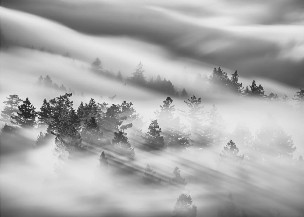 Ohne Titel | Fototapeten