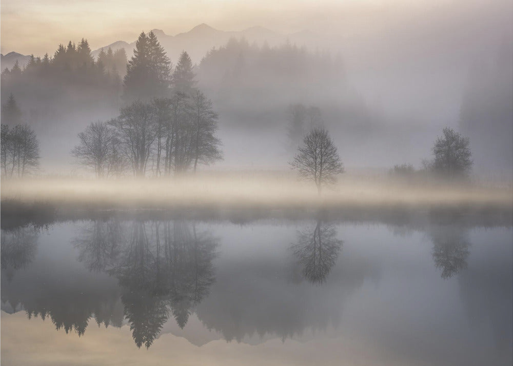 Mystischer Morgen III | Fototapeten