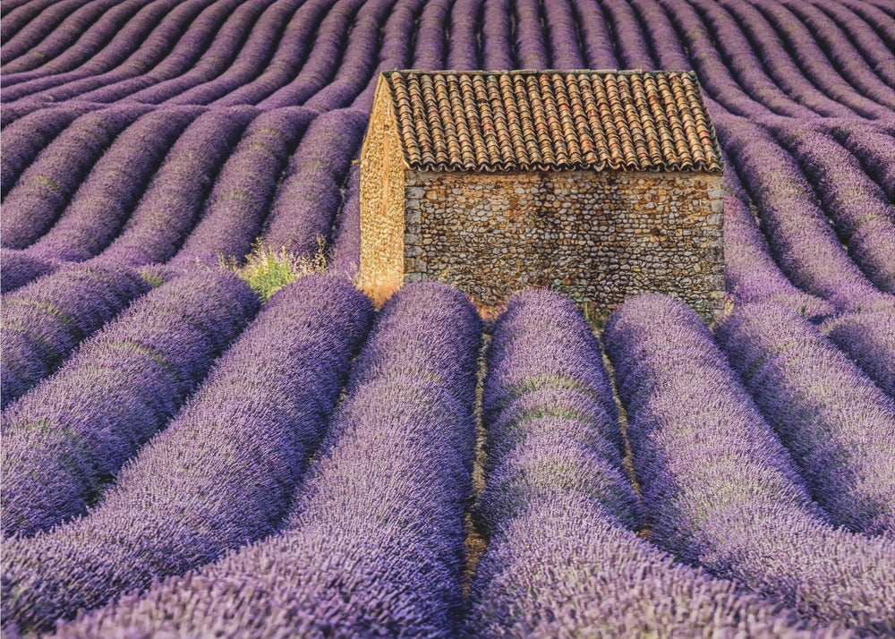 De hut | Fotobehang