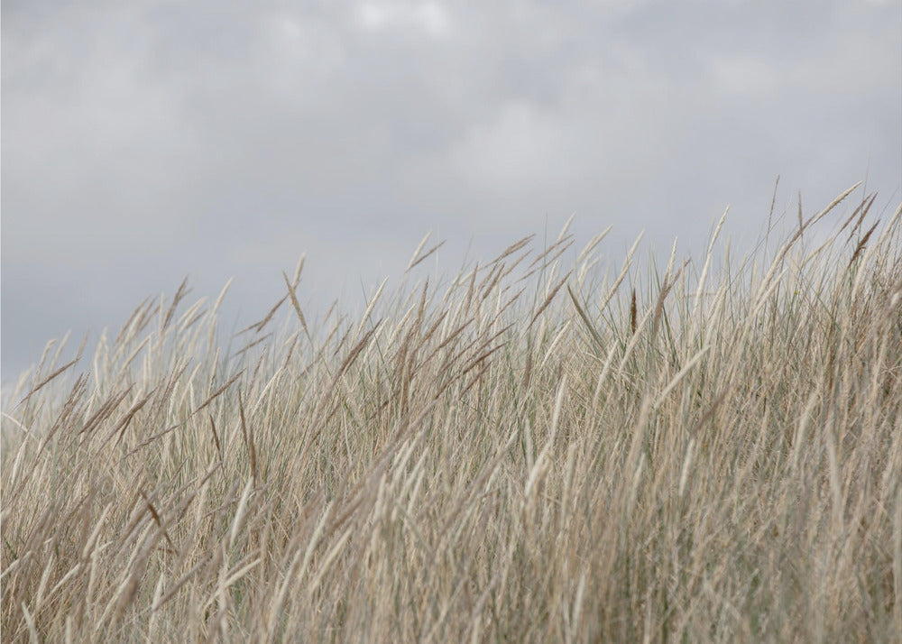 Dune e nuvole | Carta da Parati Fotografica