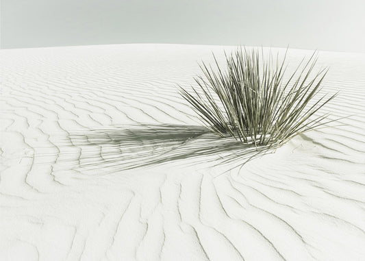 Dune Vintage WHITE SANDS | Tableaux sur Toile