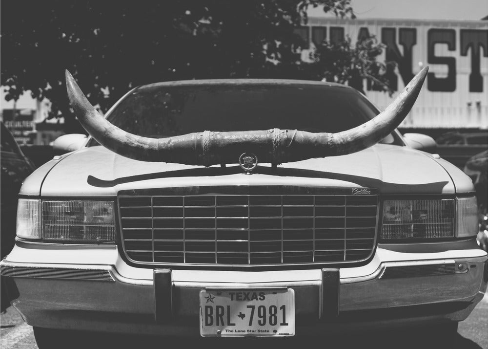 Texas Ride | Canvas