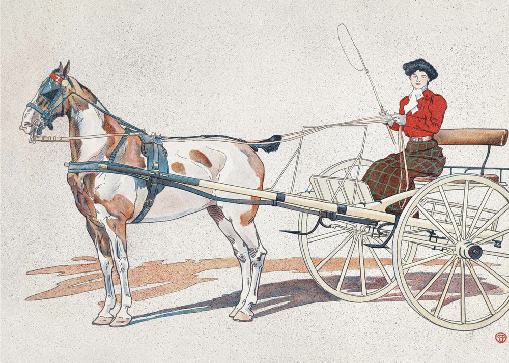 En sönderrivningskartong från Kentucky (ca 1900) | Poster