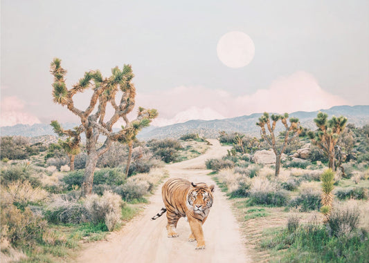 Vandrande tiger | Canvas