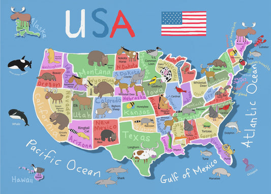 Carte illustrée des États-Unis d'Amérique par Carla Daly | Tableaux sur Toile
