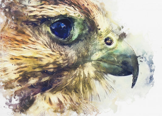 Animal Bird Kestrel Watercolor Animal Art | Poster