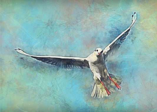 Animal Seagull Bird Watercolor Animal Art | Poster