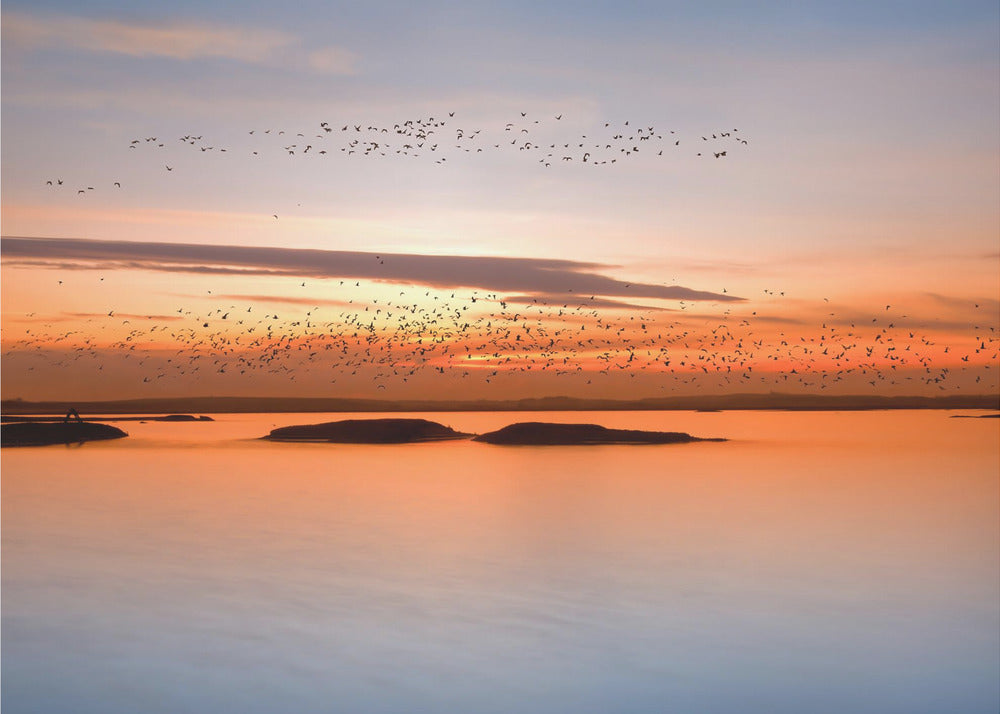 bei Sonnenuntergang | Fototapeten