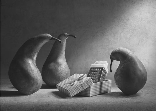 Vind je ons cadeau niet leuk?! | Posters - Kunstdrukken