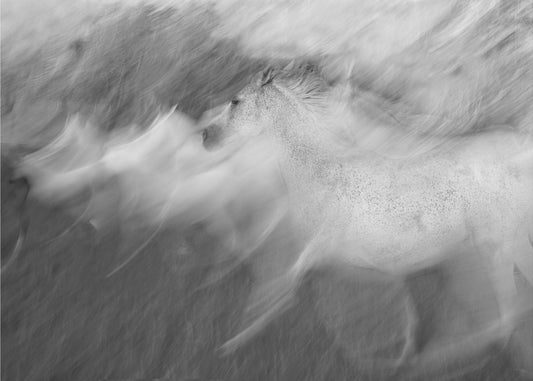 Blanc mystique | Tableaux sur Toile