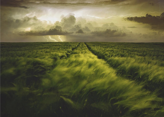 Voyage vers la tempête féroce | Papier Peint Photo