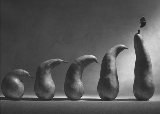 De evolutie | Posters - Kunstdrukken