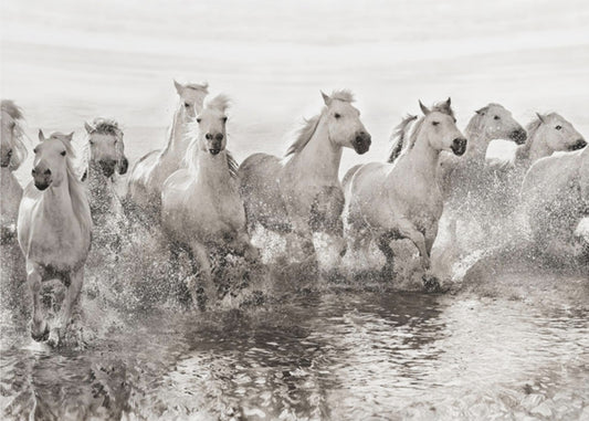 Ilusión de potencia (aunque con 13 caballos) | Papel Pintado Fotográfico