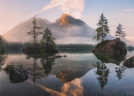 Il risveglio della natura | Carta da Parati Fotografica