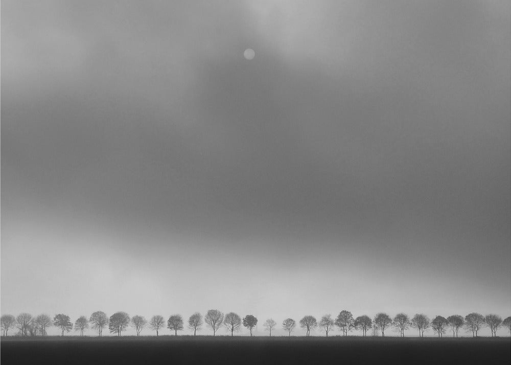 Polderlandskap | Poster
