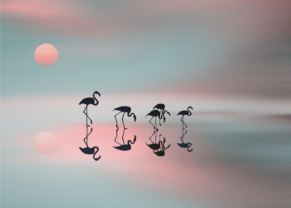 Familie flamingoer. | Plakater - Kunsttryk