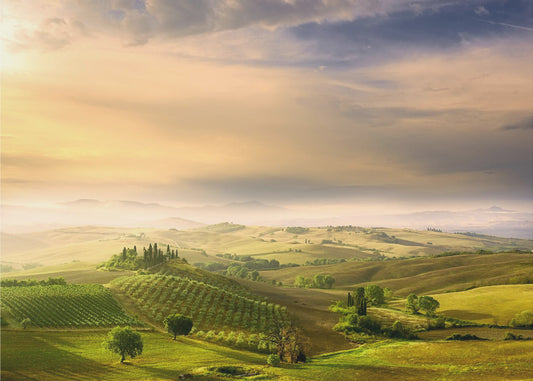 Sonnenaufgang im Podere Belvedere | Fototapeten