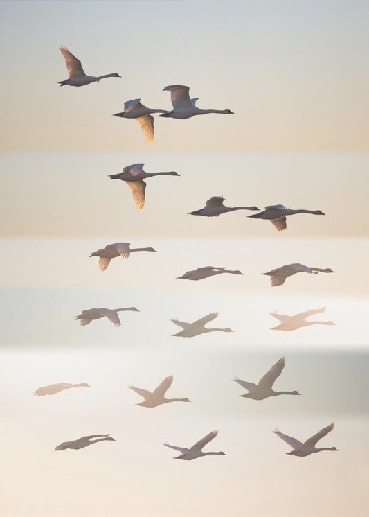 Au-delà du soleil. | Tableaux sur Toile