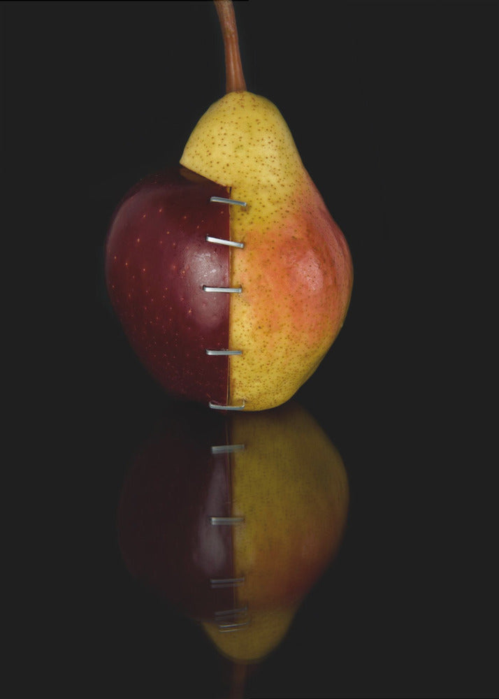 Apple/Pear OGM II | Poster