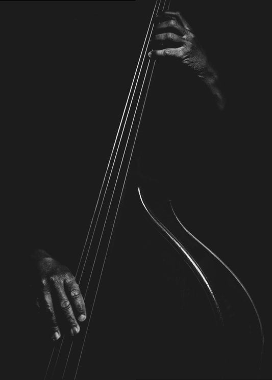 De contrabassist | Canvasprints
