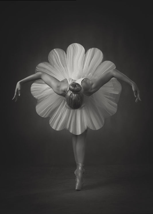 Balletto floreale | Stampe su Tela