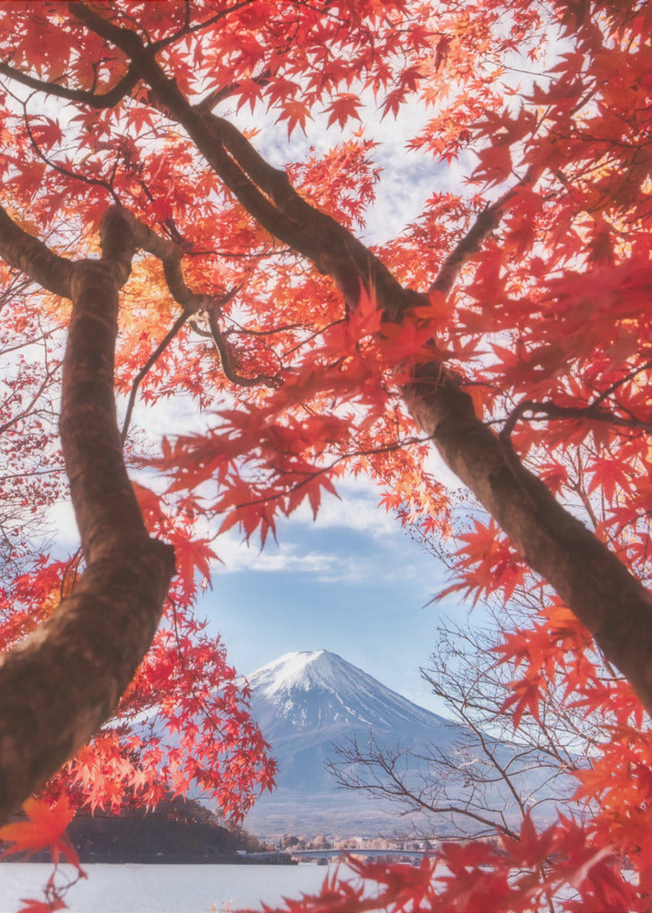 Le mont Fuji est dans les feuilles d'automne | Tableaux sur Toile