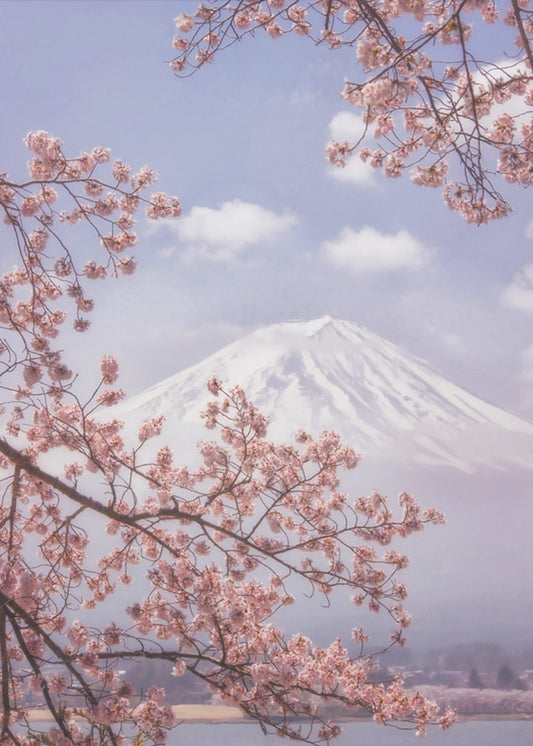 Le Mont Fuji dans les cerisiers en fleurs | Tableaux sur Toile