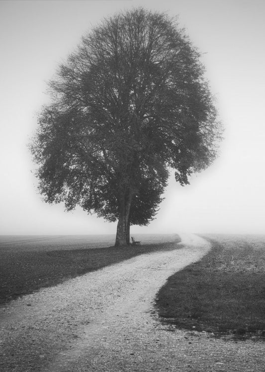 Dichter | Leinwand-Bilder
