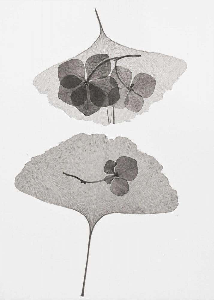 Botanical #35 | Canvas