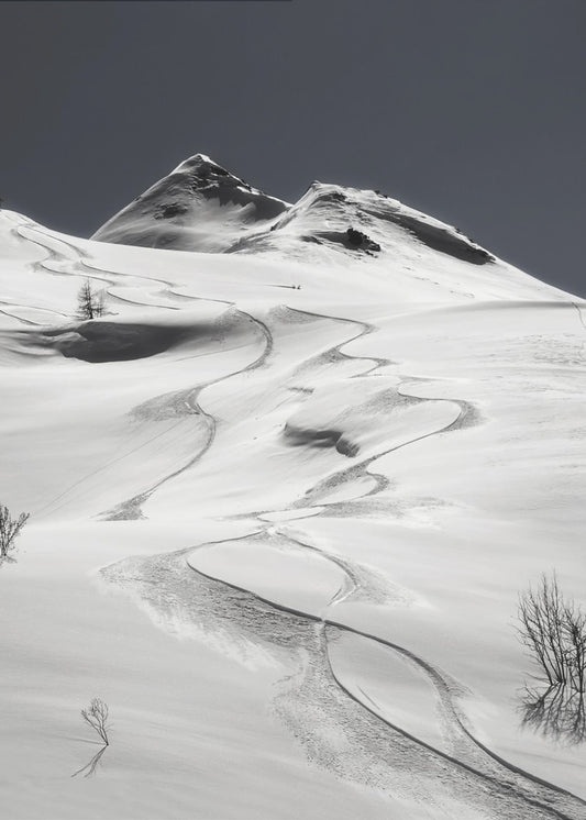 Freeride | Leinwand-Bilder