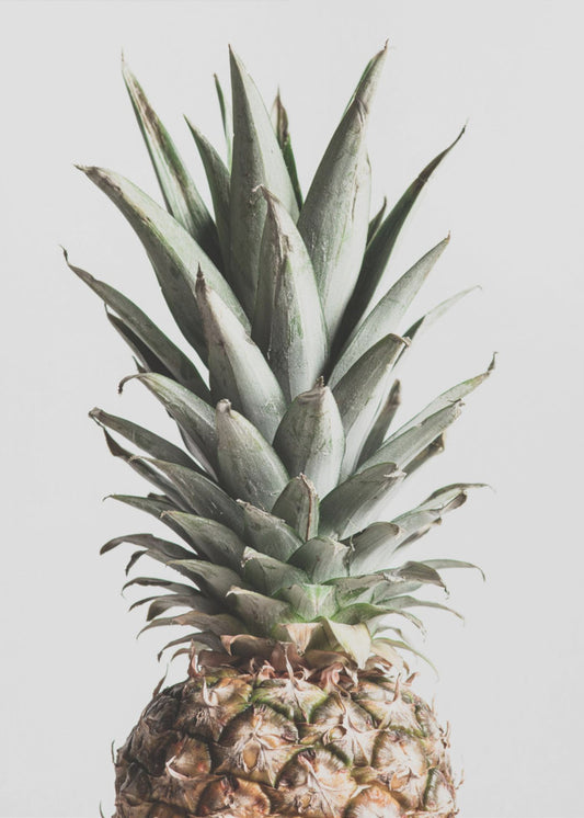 Pineapple Natural | Poster