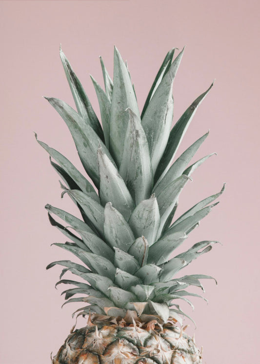 Pineapple Pink 02 | Poster