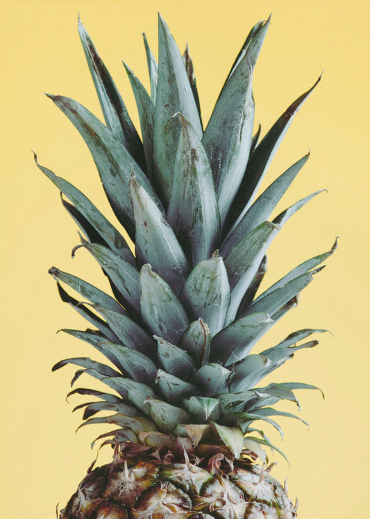 Pineapple Yellow 01 | Poster