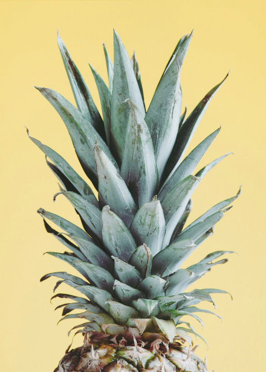 Pineapple Yellow 03 | Poster