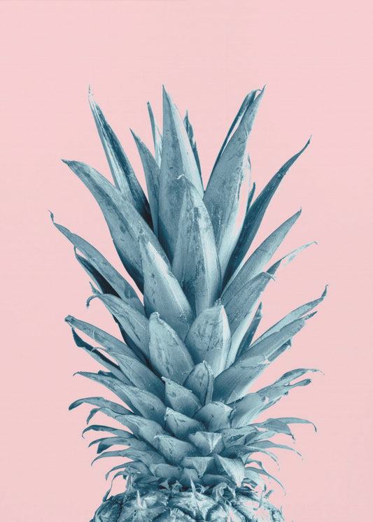 Pineapple Pink 06 | Poster