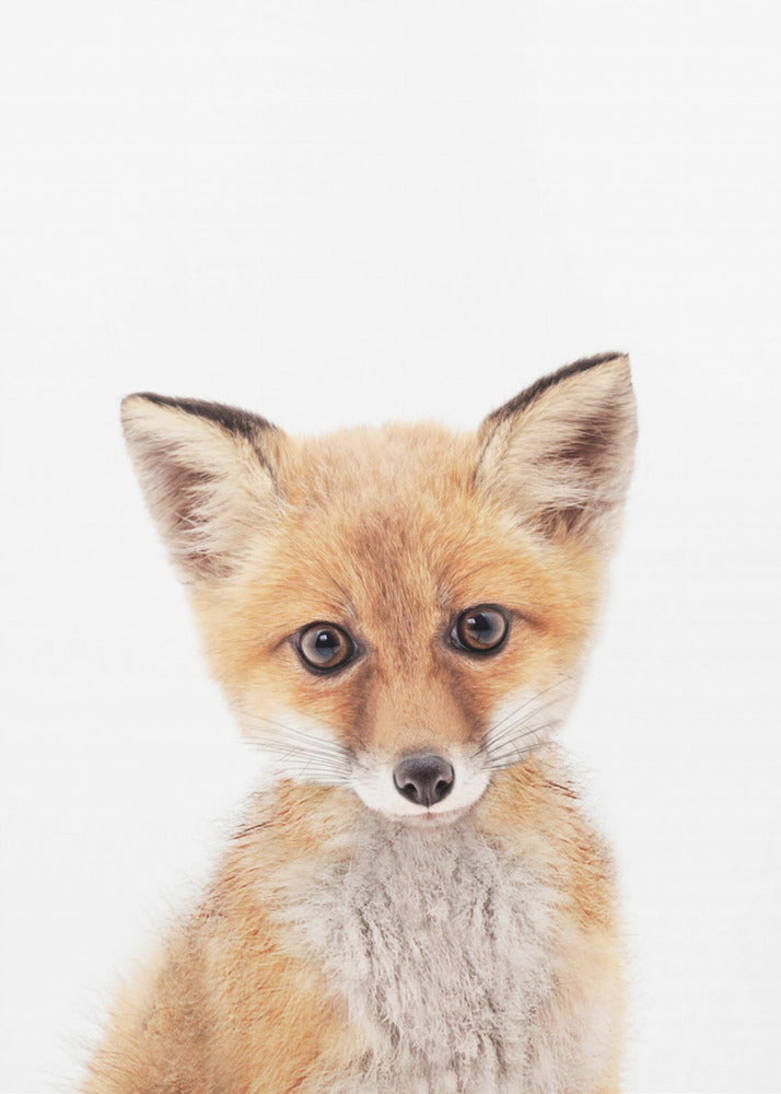 Baby Vos | Canvasprints