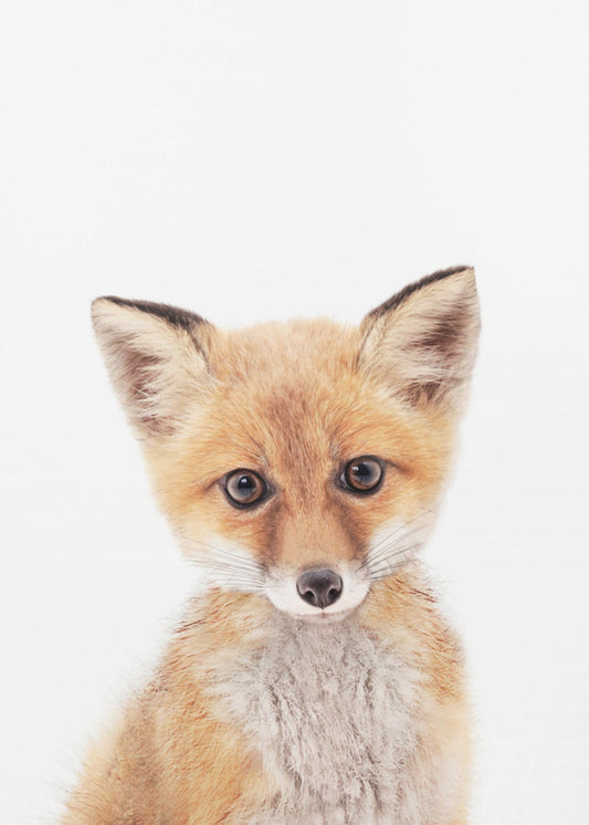 Baby Vos | Canvasprints