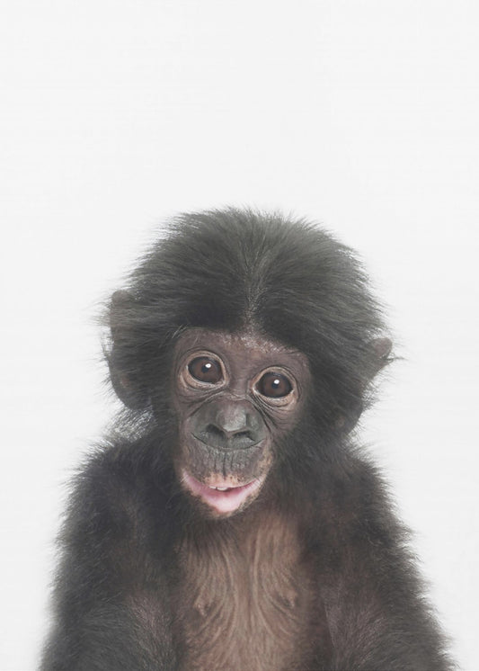 Baby Aap | Canvasprints