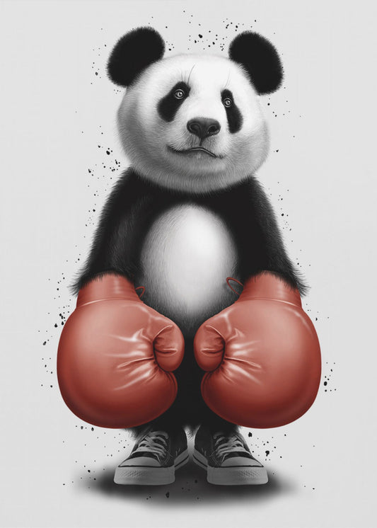 BOXER PANDA | Stampe su Tela