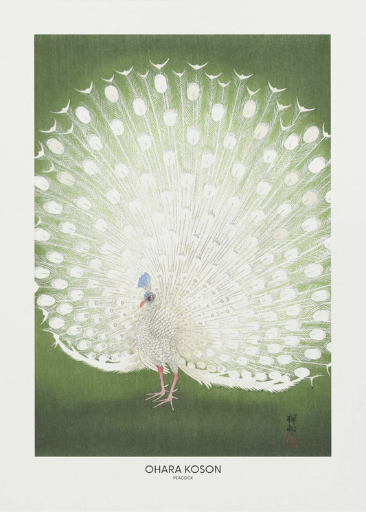 Pfau – Beschnitten | Leinwand-Bilder