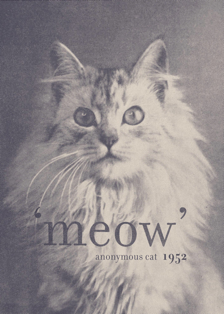 Cita famosa Gato | Posters  - Impresiones de Arte