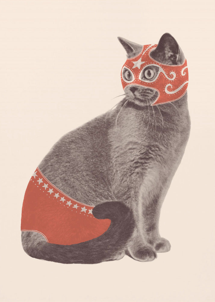 Chat Catcheur | Canvas