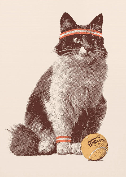 Tenniskatt | Canvas
