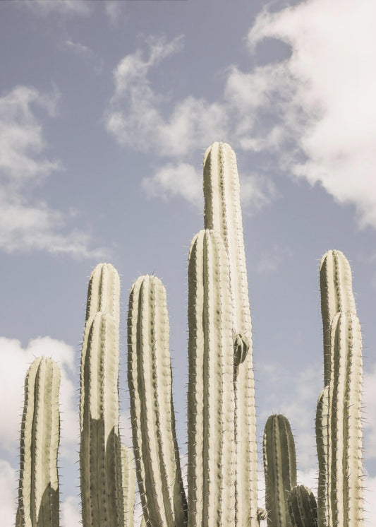 Desert Cathedral No2 | Poster