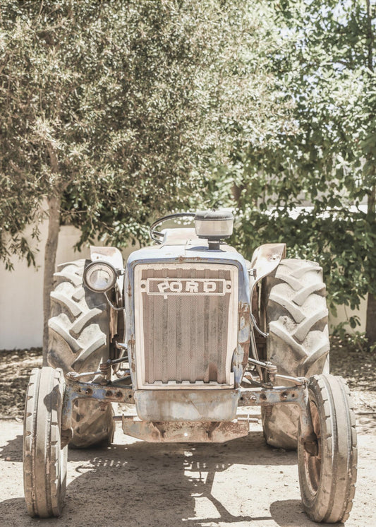Ford | Lærredsbilleder