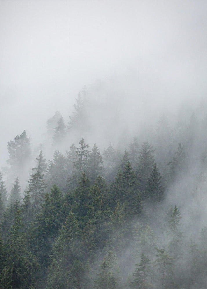 Matin brumeux 2 | Tableaux sur Toile