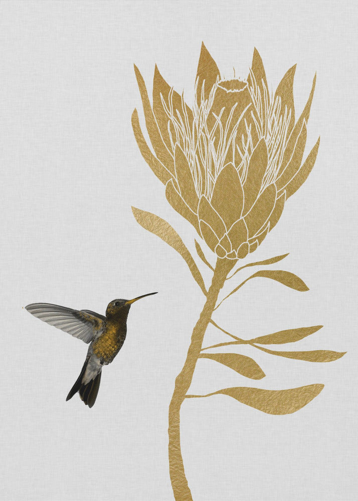 Colibri et fleur I | Tableaux sur Toile
